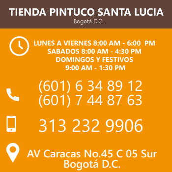 Tienda Pintuco Santa Lucia